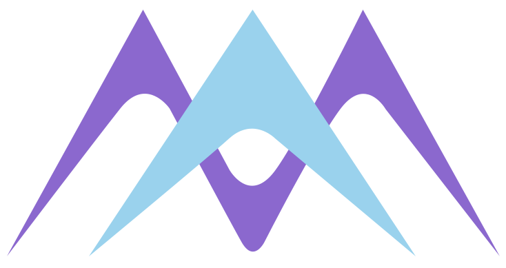 Enterprise Partner